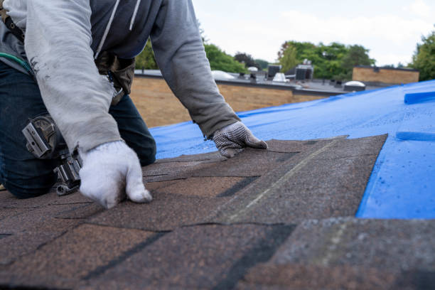 Best Roof Gutter Cleaning  in Rainbow Lakes, NJ