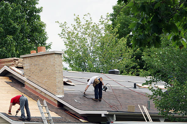 Best Roof Repair Services  in Rainbow Lakes, NJ